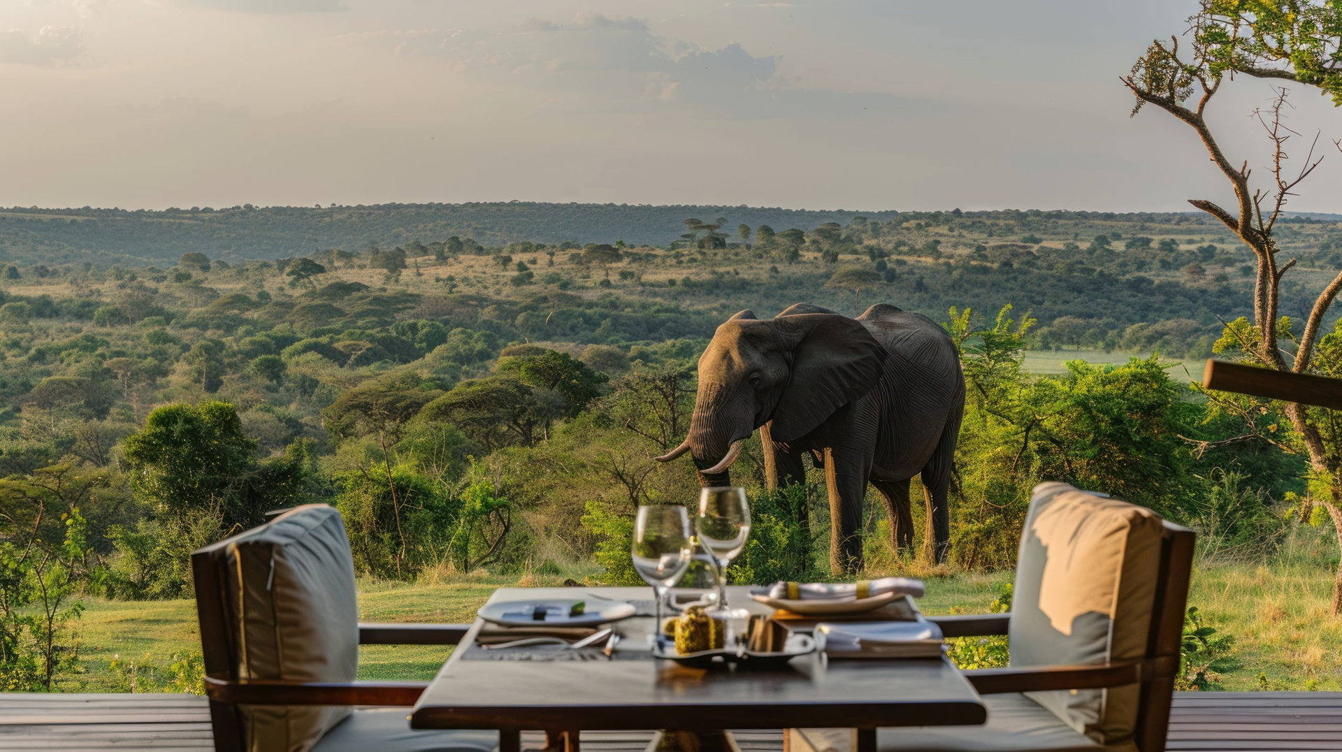 Weave an immersive invitation to an exclusive wildlife safari, where majestic creatures roam amidst breathtaking landscapes, --chaos 15.7 --ar 16:9 --style raw Job ID: e580124e-205f-44ec-af65-9ae8868ed515