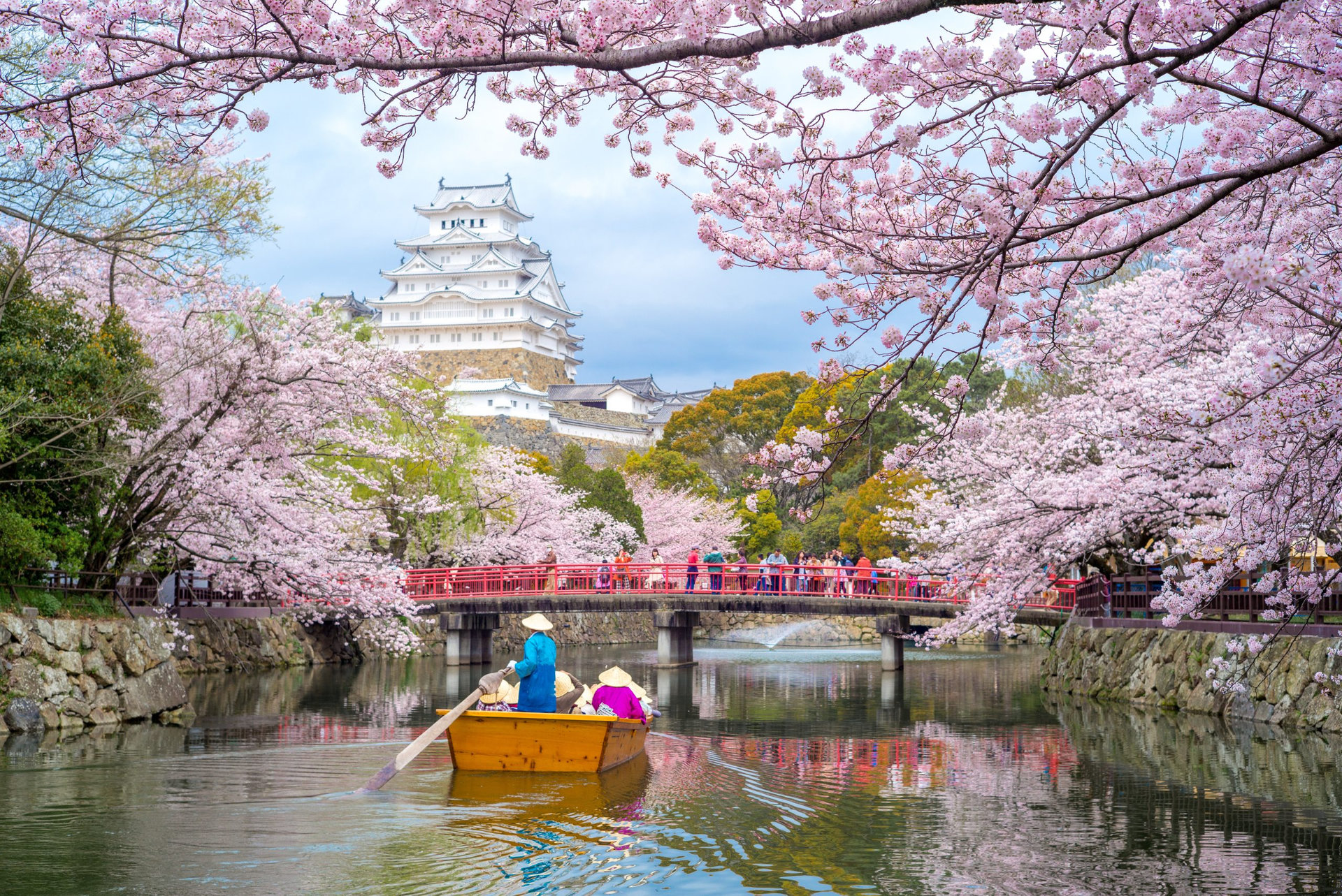 Himeji Castle with beautiful cherry blossom in spring season