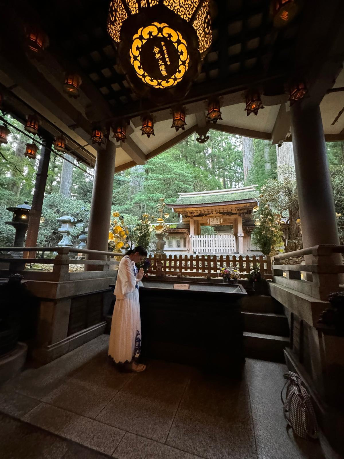 ad3fb978-876a-42ec-9691-b02593012365