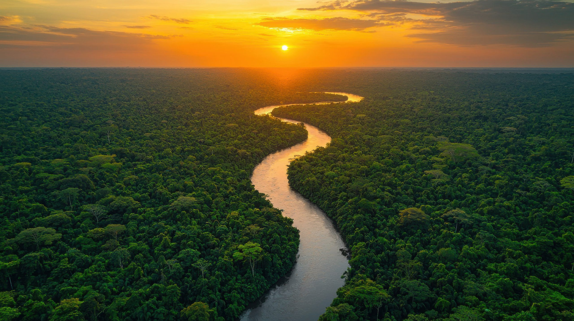 Aerial View of a River Winding Through the Amazon Rainforest at