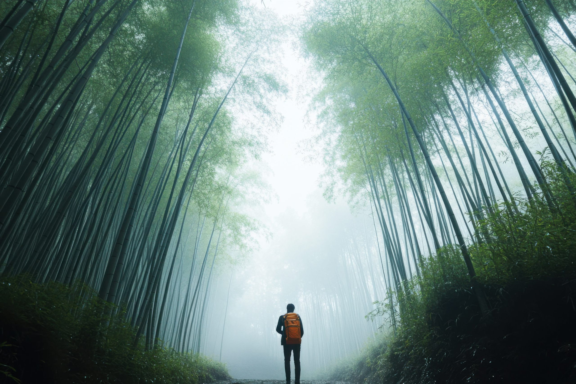 A traveler exploring a tranquil bamboo forest during a foggy morning, Bamboo forest adventure theme, Serene style