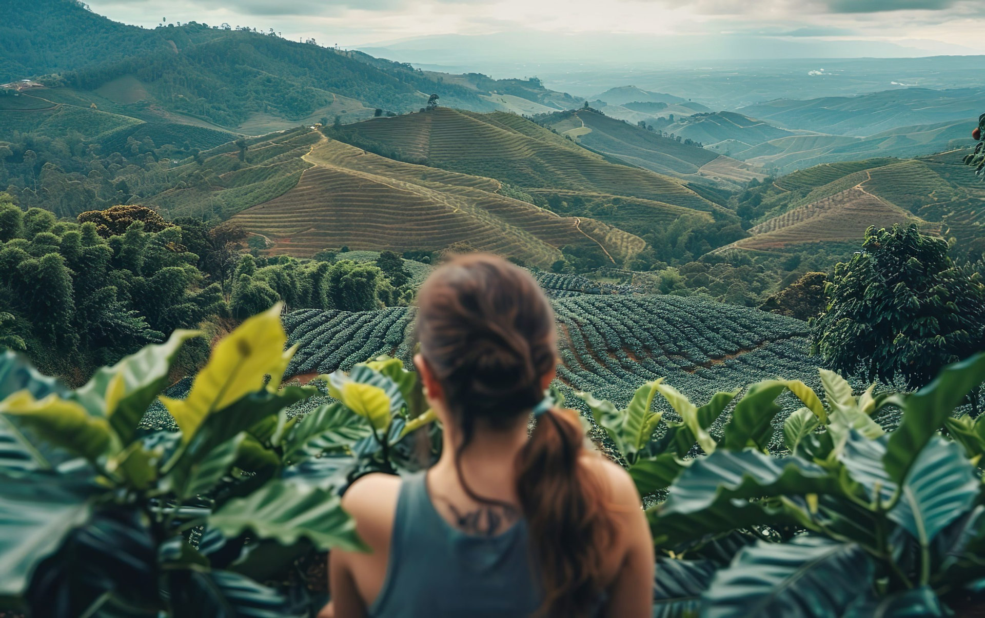 Woman traveler at Sri Lanka, Kenya, China coffee plantation, back view. Regenerative, renewable ecosystem, green biodiversity, natural permaculture, organic resilience, biodynamic conservation concept