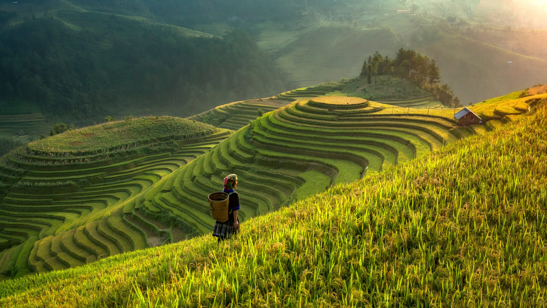 Smooth symbolize the city's Mu cang chai,Yenbai,Vietnam.