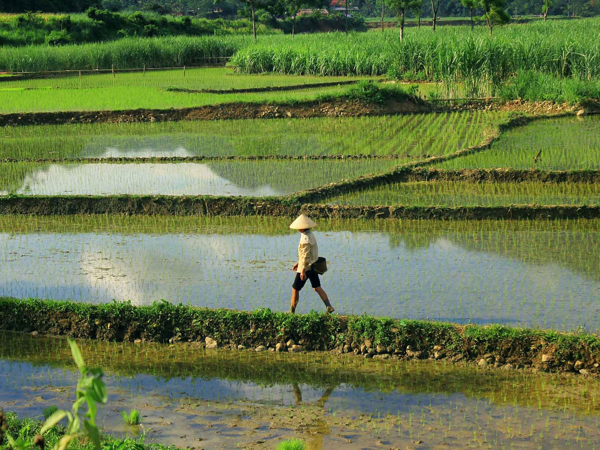 Pu Luong Nature Reserve Vietnam