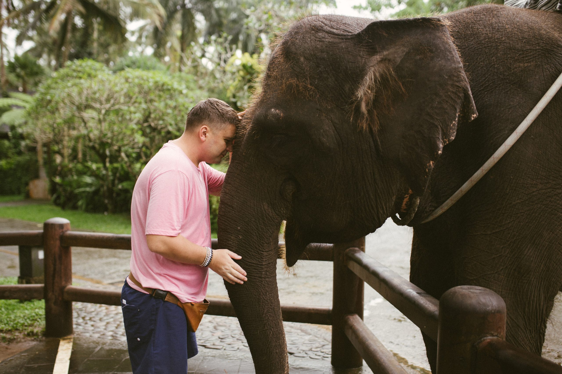 A man feeds elephants at an elephant sanctuary.