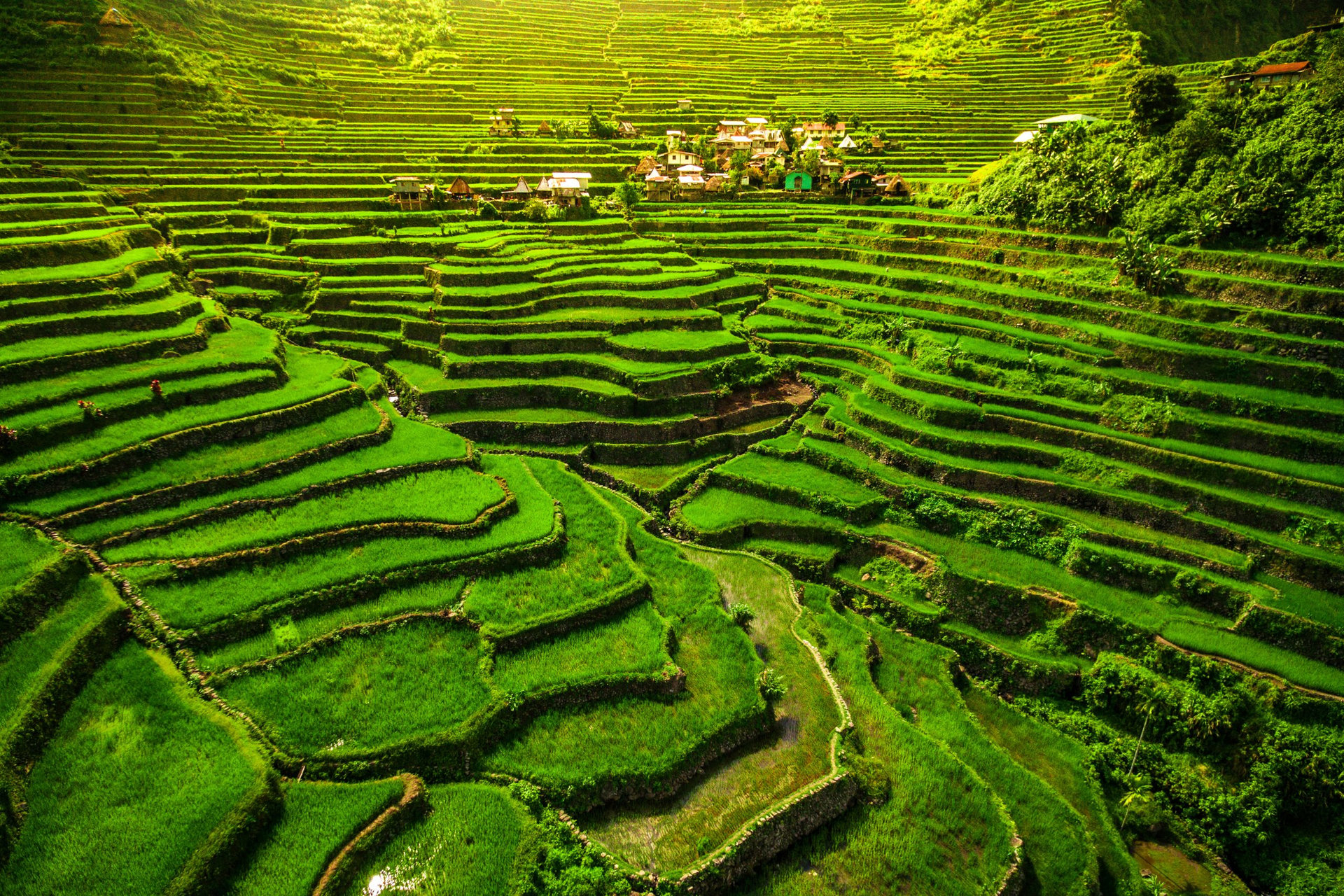 World heritage Ifugao rice terraces in Batad, northern Luzon, Philippines.