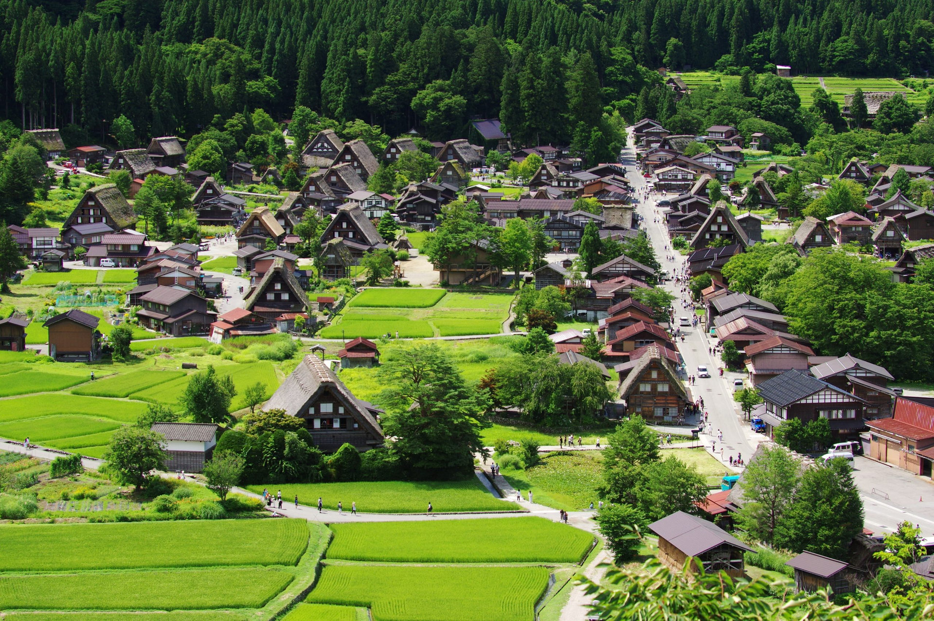 Shirakawago in Gifu Japan, Gassho-Zukuri Village 夏の白川郷 合掌造り集落