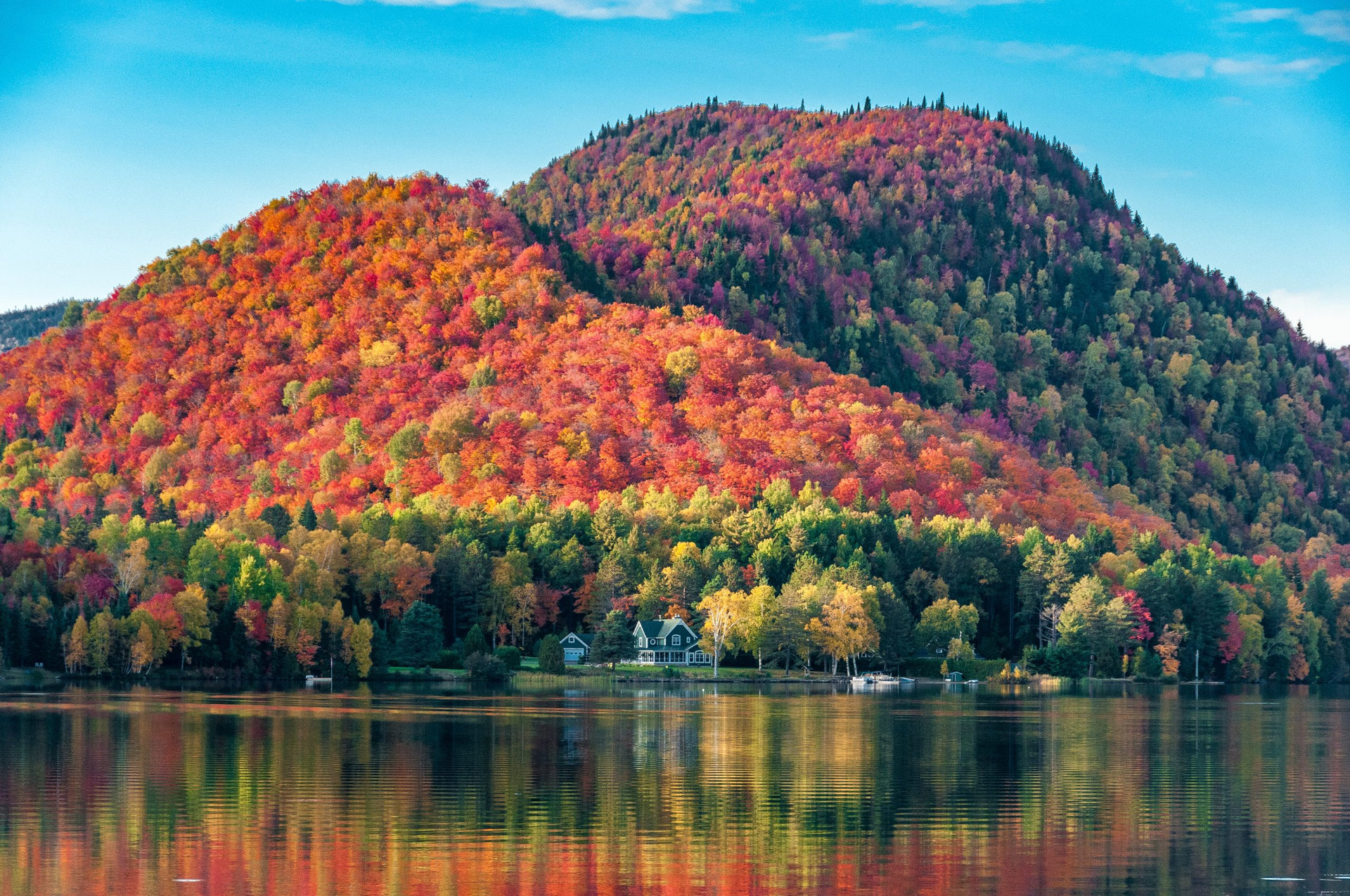 The hills covered with red maple forests behind a wooden house on the shore of a lake in Quebec, on a beautiful autumn evening.