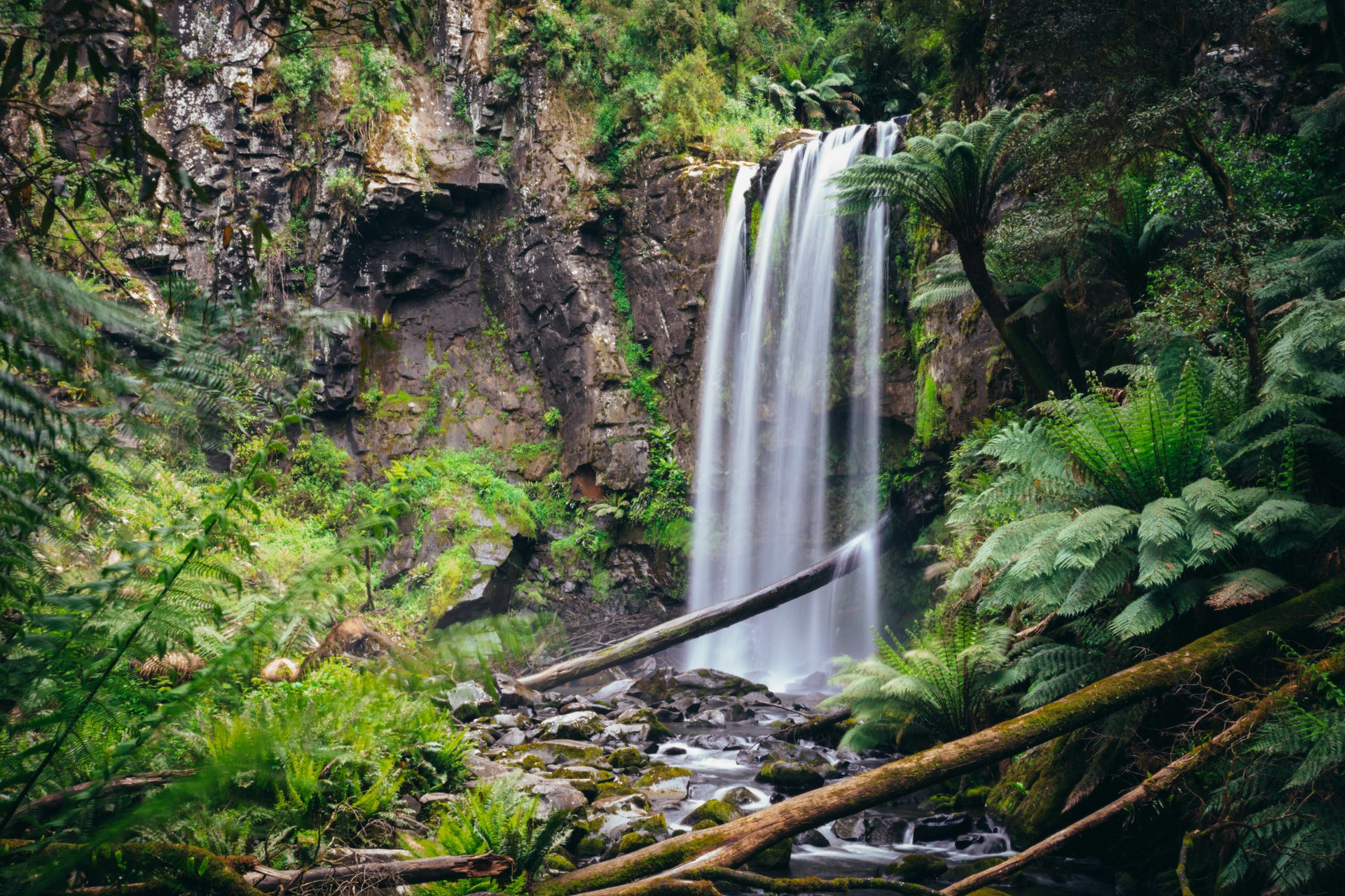Hopetoun falls in Great Otway National park, Victoria, Australia.