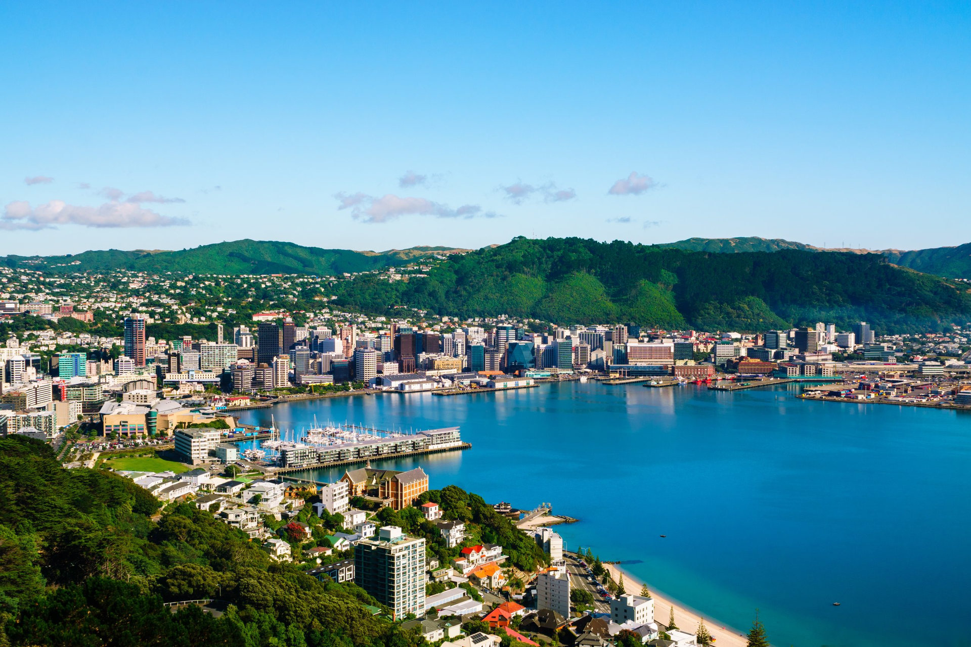 Wellington, New Zealand. Morning view of Wellington city buildings and harbour viewed from Mount Victoria. Wellington is the Capital of NZ.