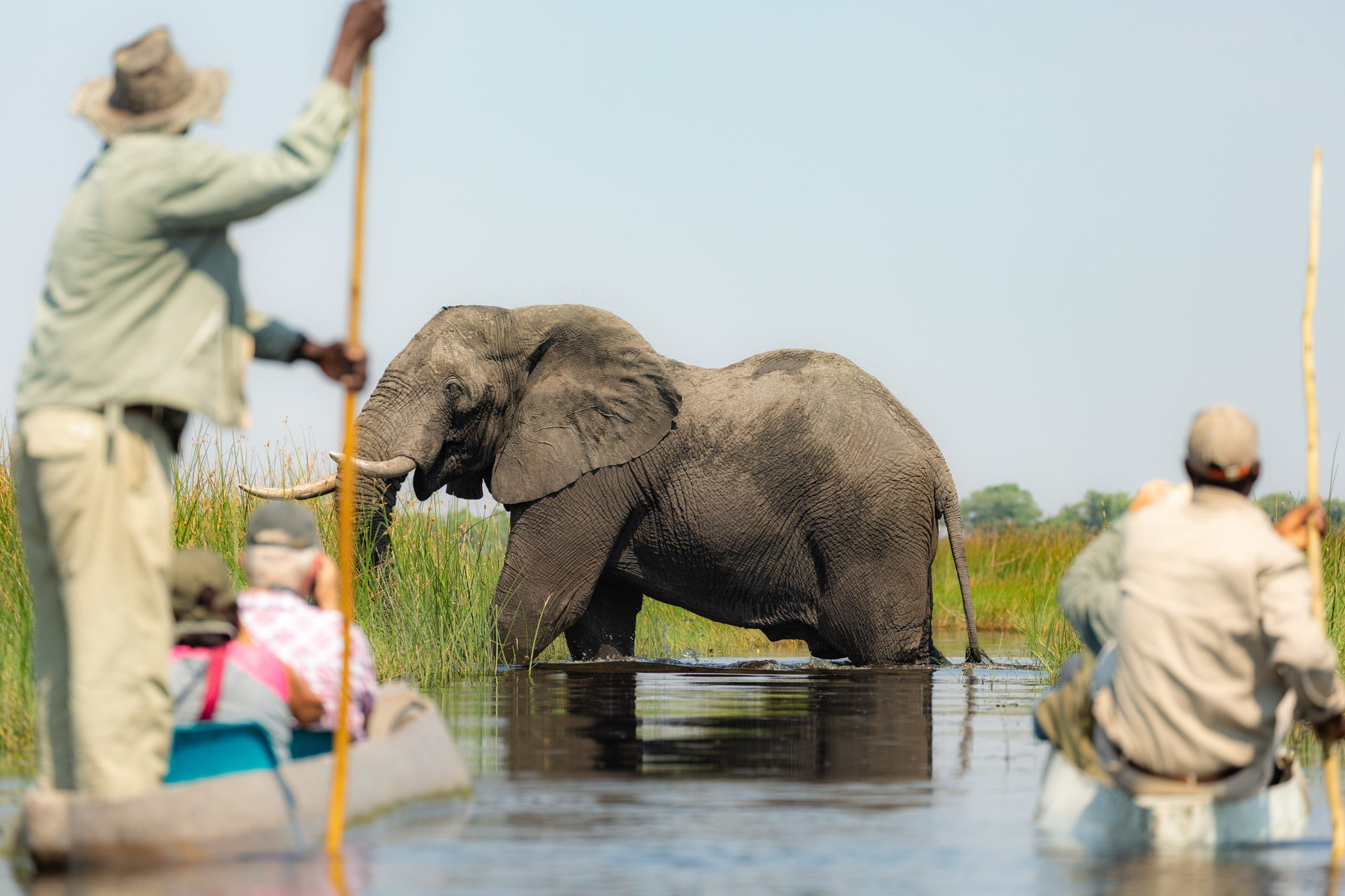Exiting the Okavango Delta in Botswana by mokoro