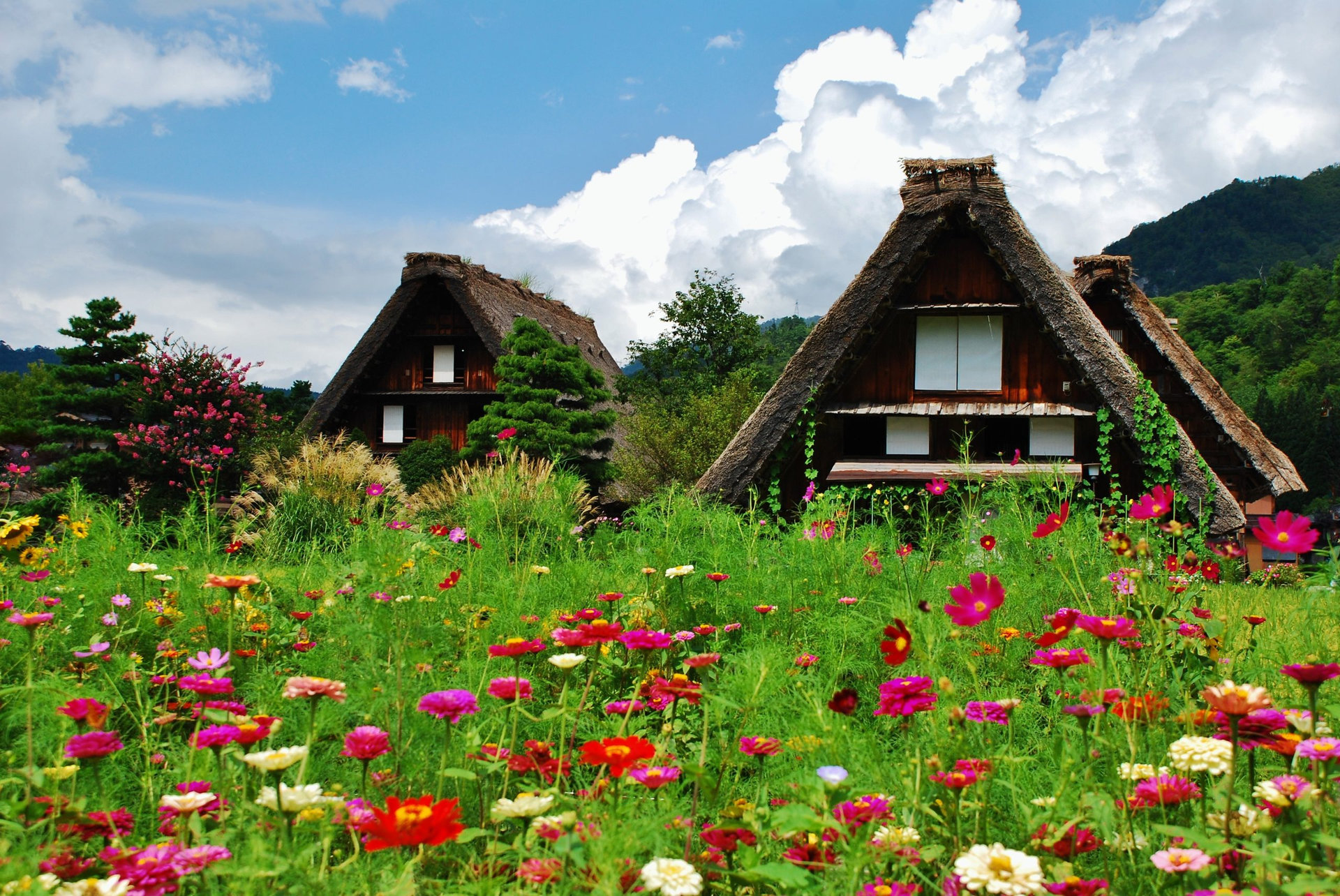 合掌造り集落 白川郷