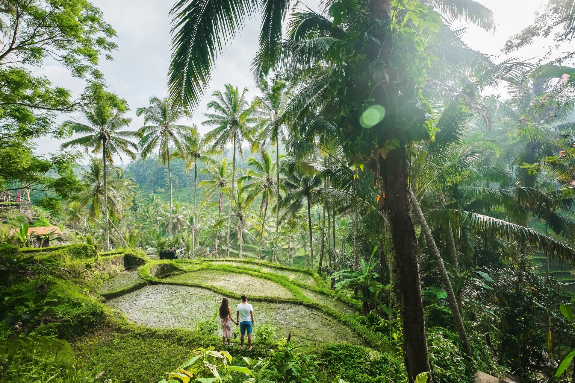 Сouple in love walking in a rice field, Bali, Indonesia.
