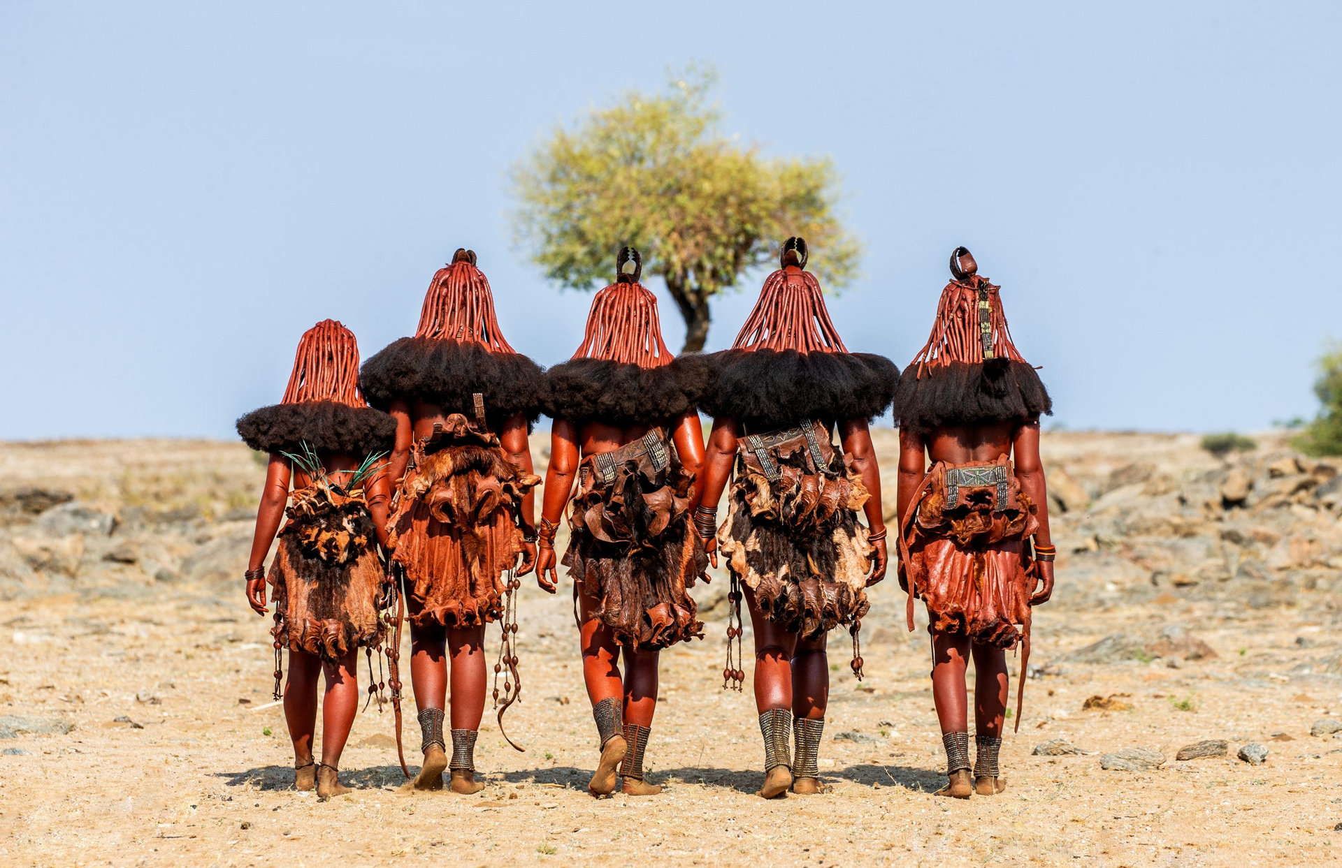 Group of women of the Himba tribe are walking through the desert in national clothes.