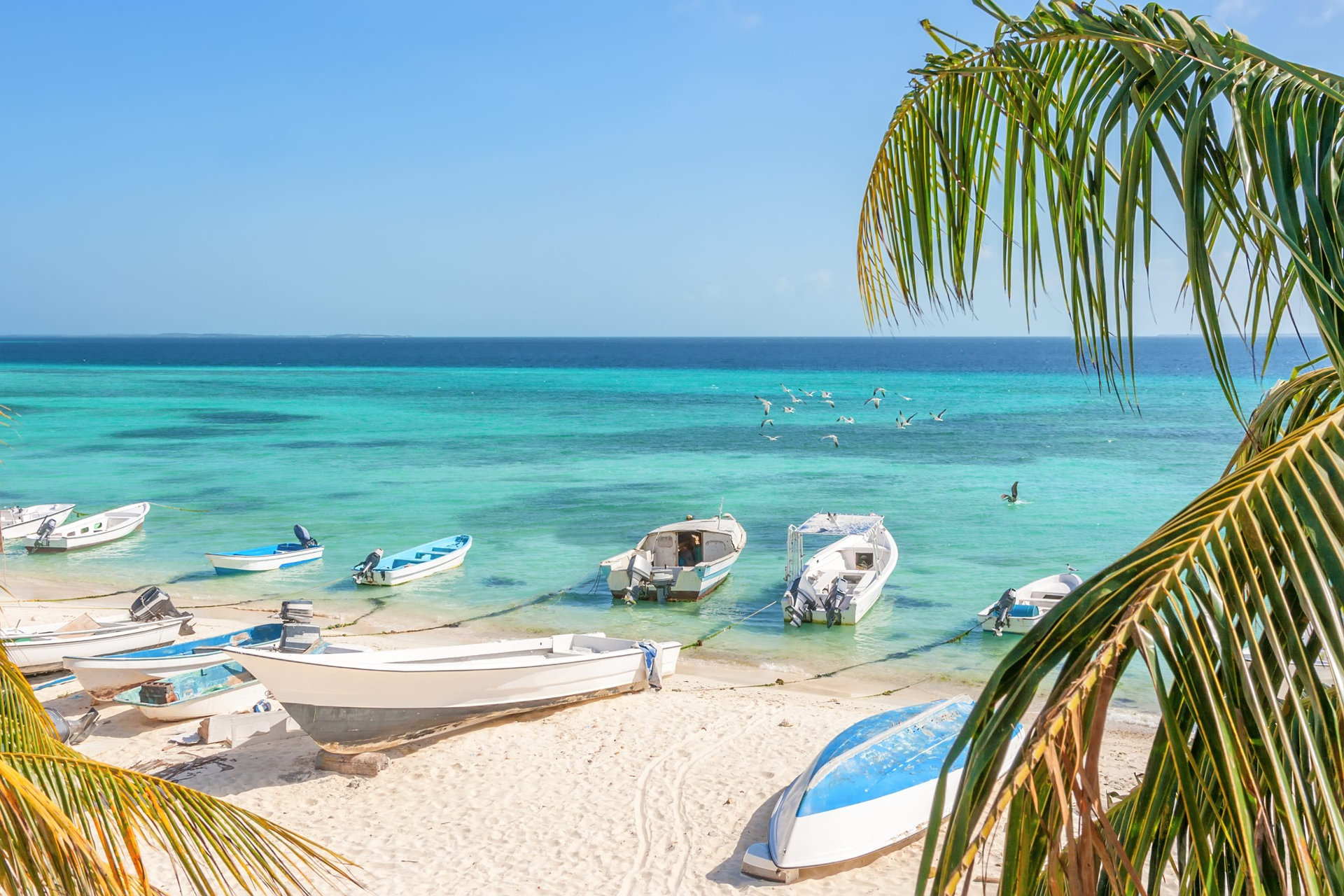 Beach of island Grand Roque from above, Venezuela