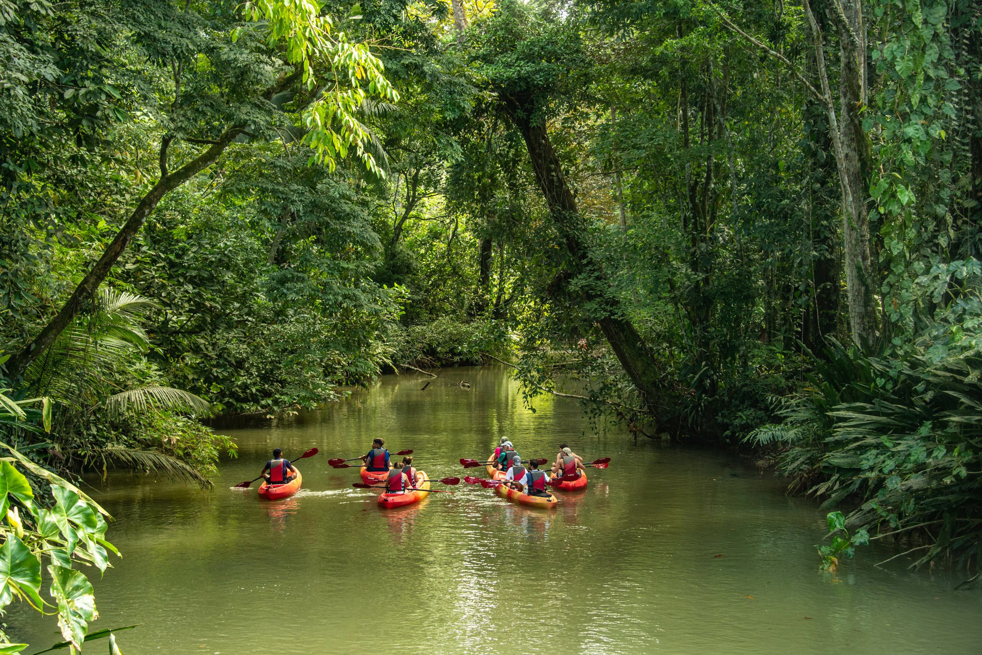 Kayaking in the jungle, Puerto Viejo, Costa Rica