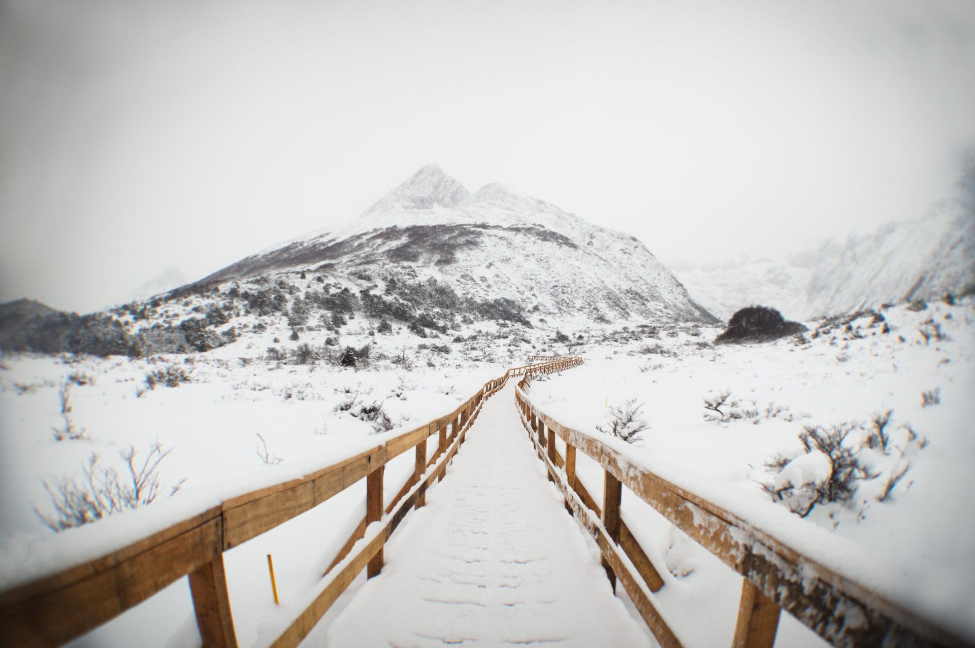 AdobeStock_512886094