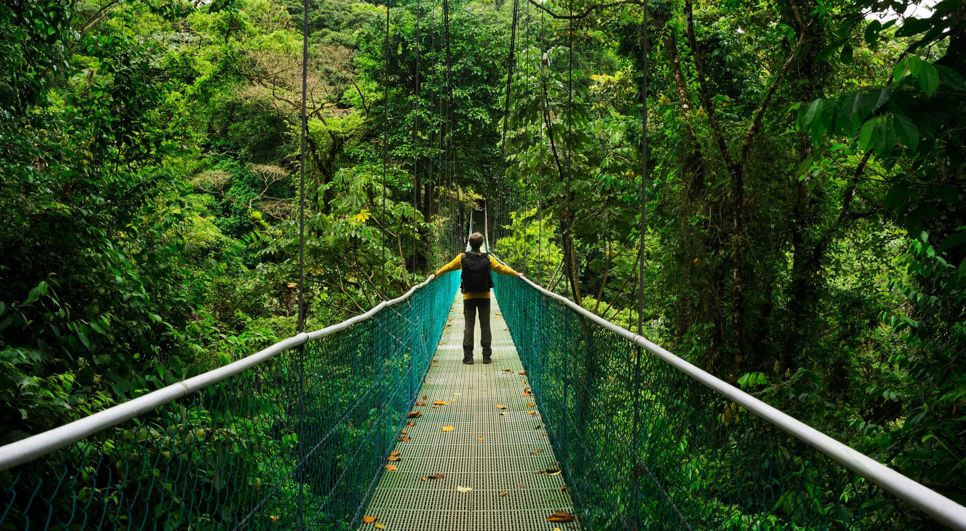 traveler on suspension bridge in central america