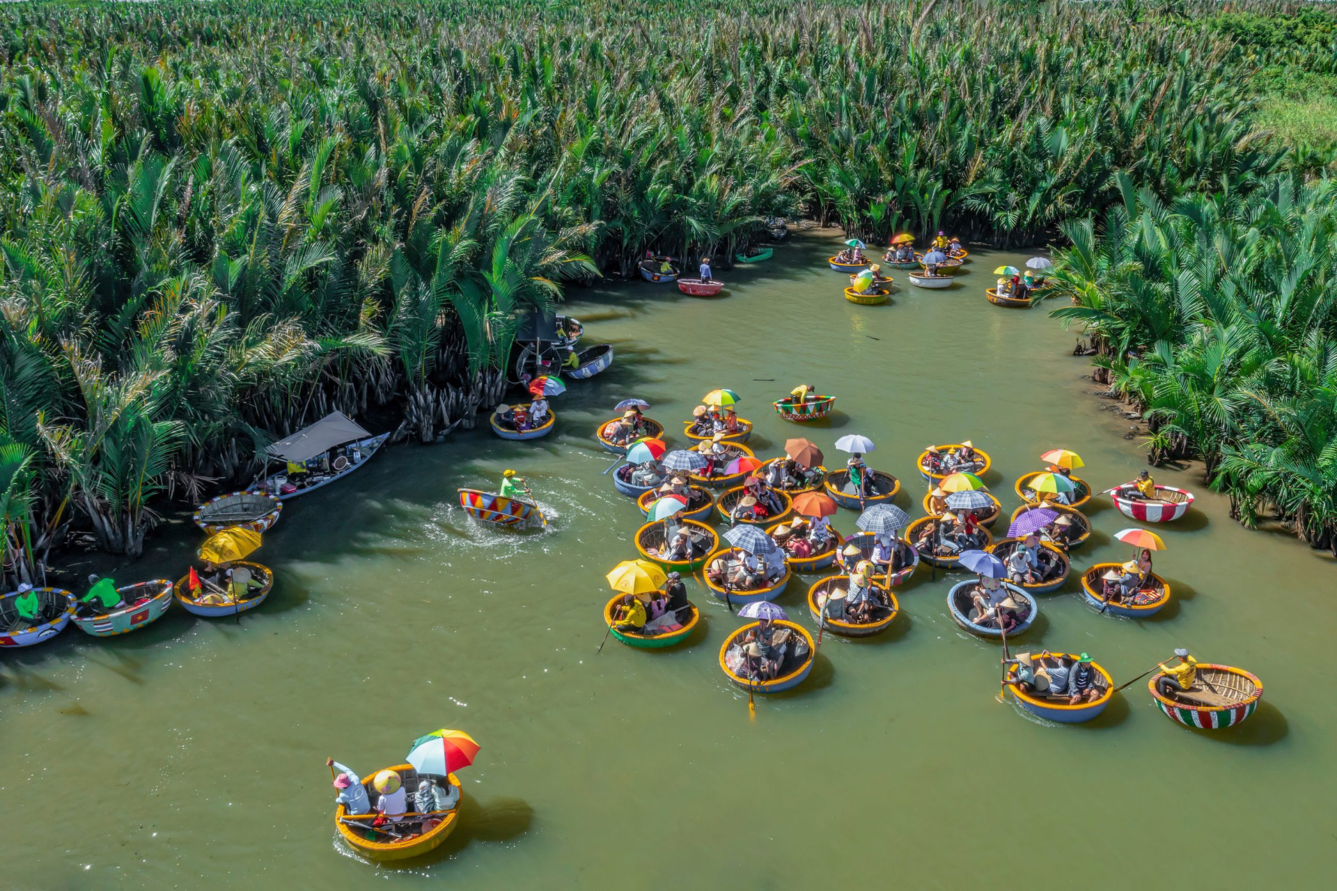 VIEW OF RUNG DUA BAY MAU OR COCONUT WATER ( MANGROVE PALM ) FOREST 7 HECTA IN CAM THANH VILLAGE, HOI AN ANCIENT TOWN, UNESCO WORLD HERITAGE, VIETNAM. HOI AN IS ONE OF THE MOST POPULAR DESTINATIONS