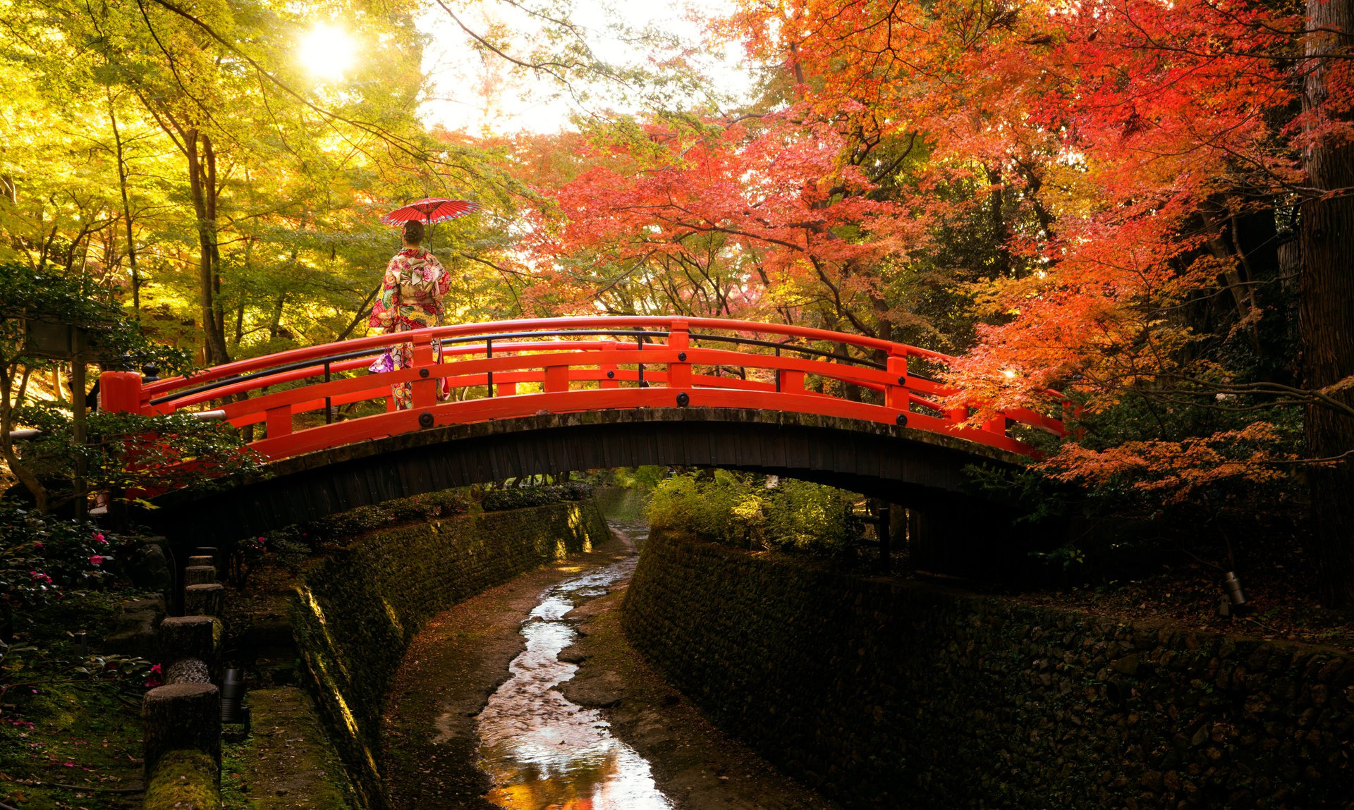 Asian traveler on Kimono traditional japanese dress walk on the red wooded bridge in autumn park on Kyoto city, Japan