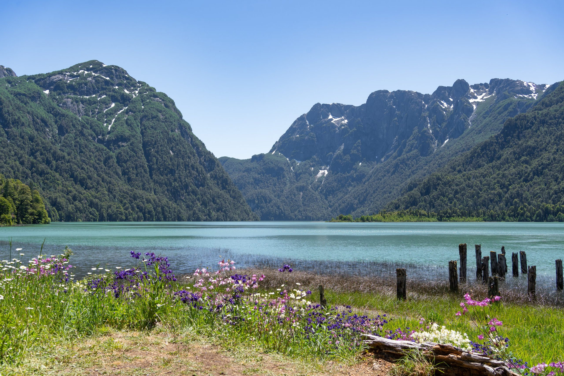 AdobeStock_570300181