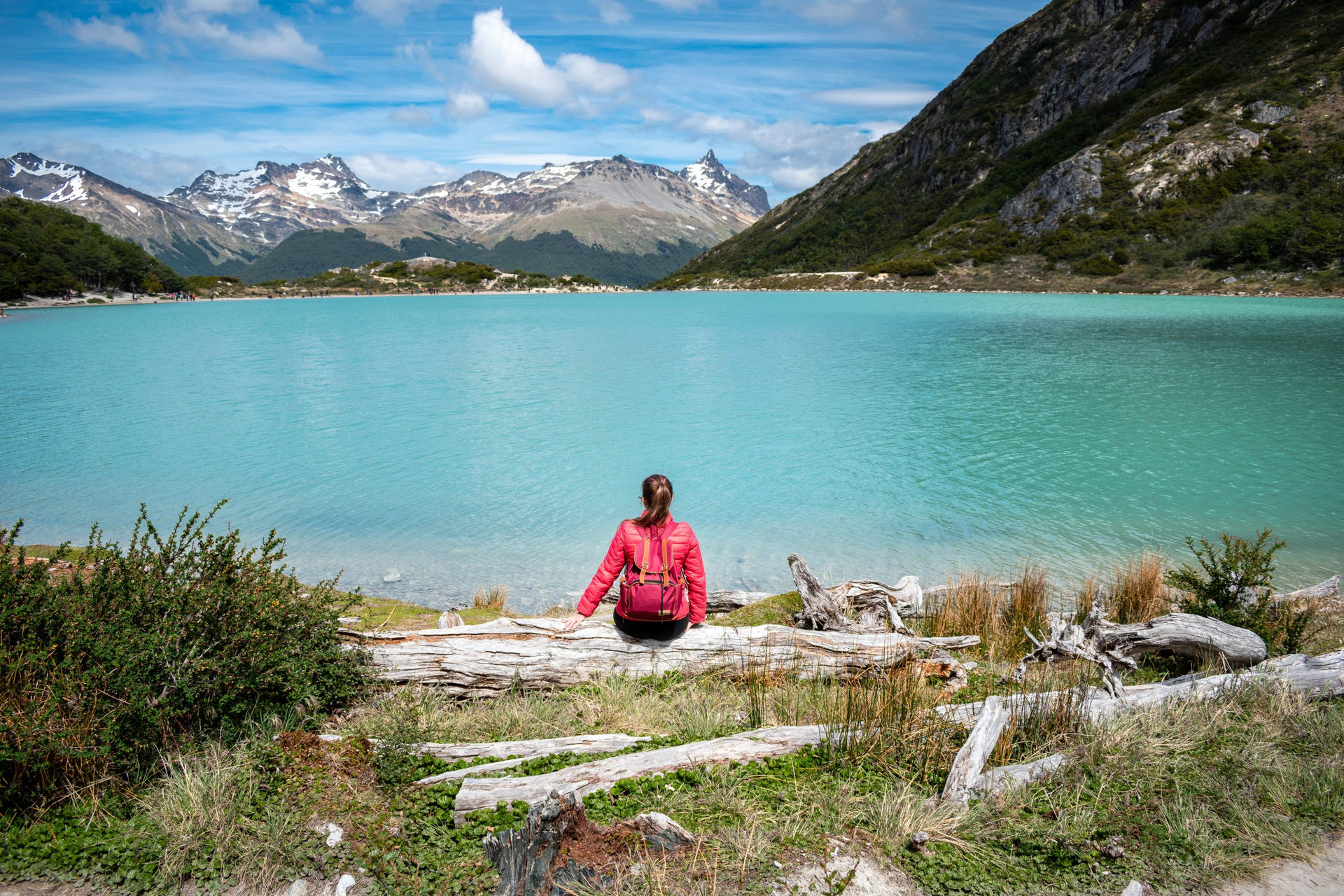 AdobeStock_784534479