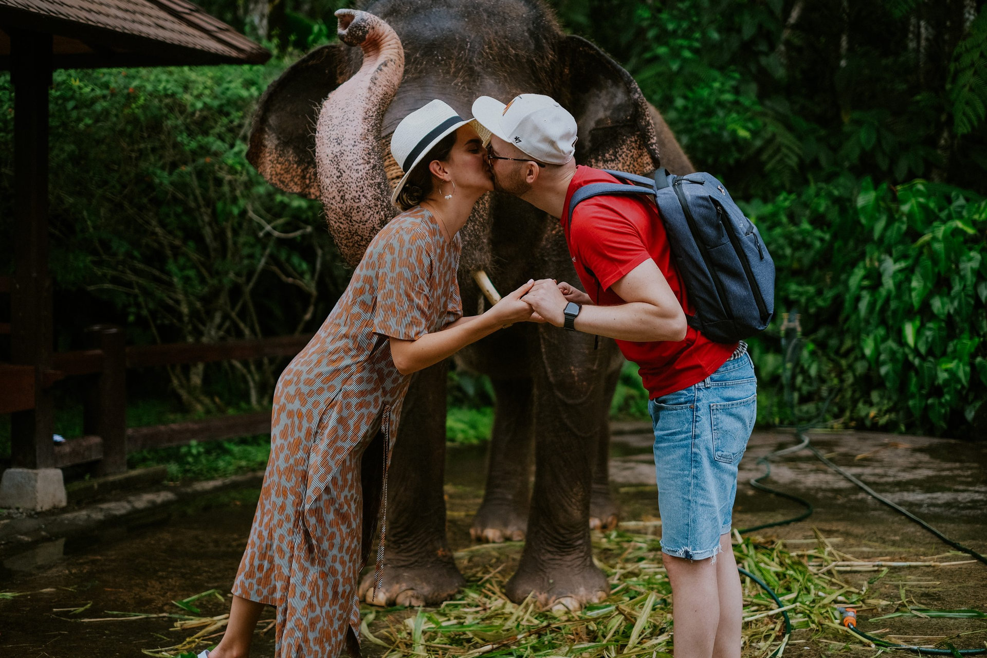 Couple in honeymoon playing with an elephant in Bali