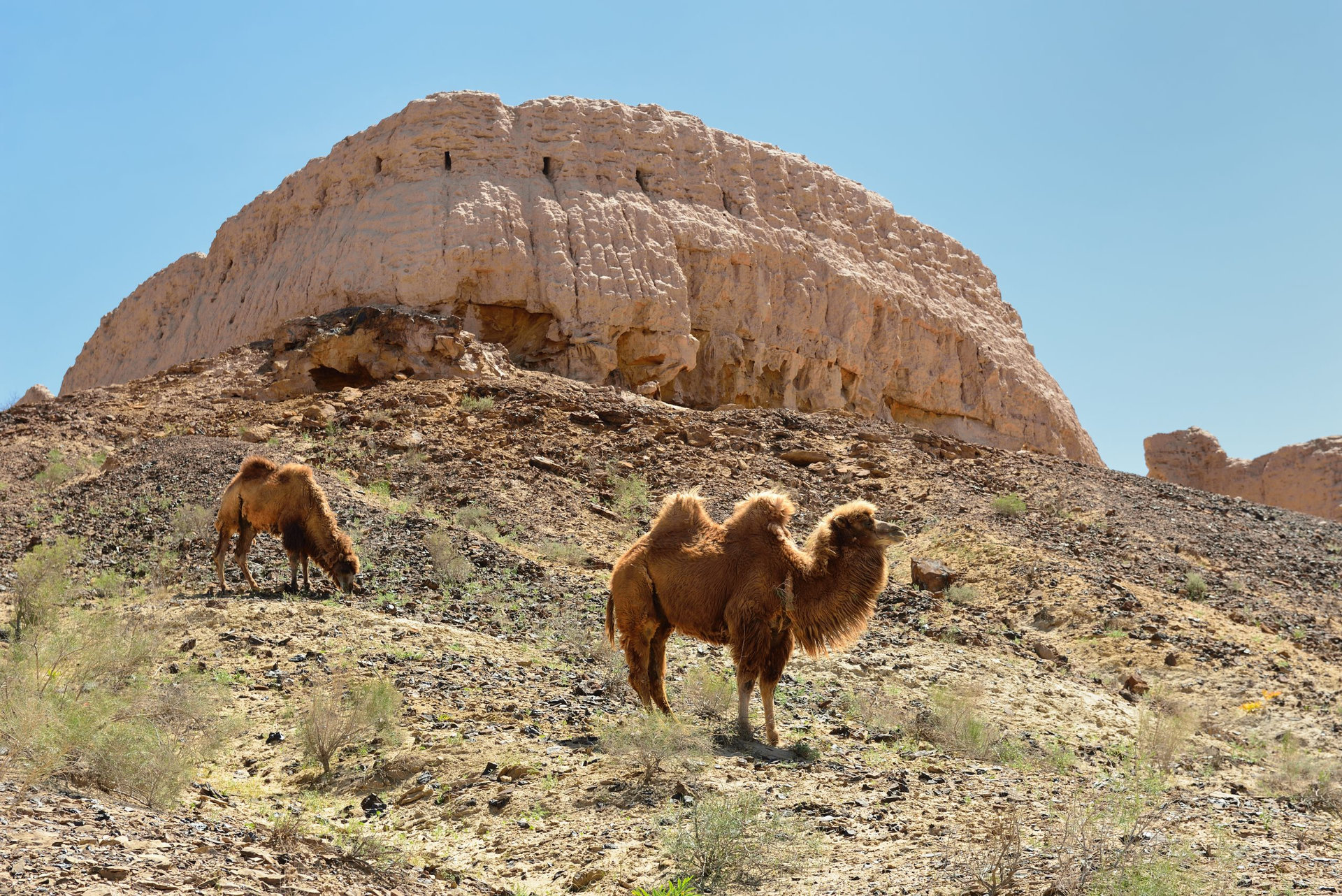 The largest ruins castles of ancient Khorezm – Ayaz - Kala, II century AD – a heyday of the Kushan Empire, Uzbekistan.