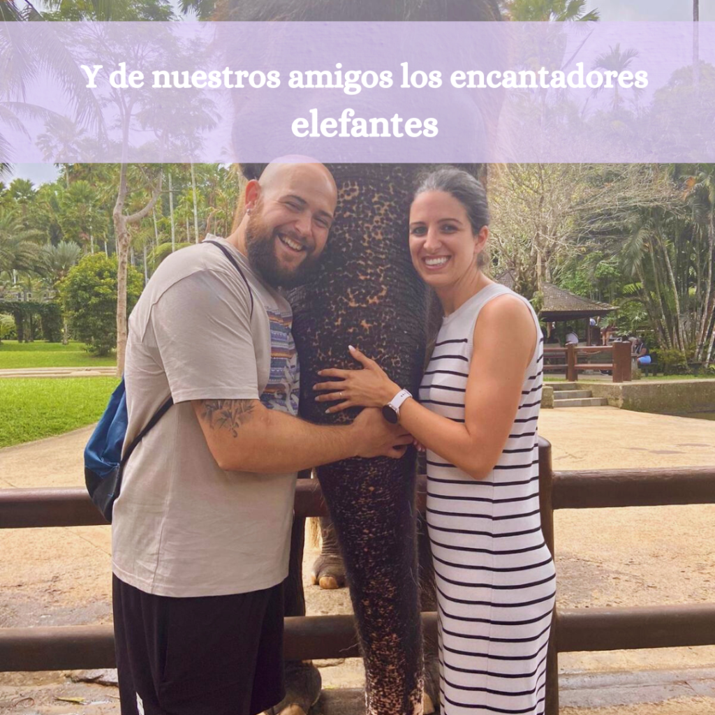 post instagram collage feed invierno sencillo pastel