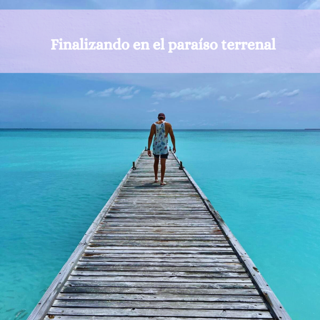 post instagram collage feed invierno sencillo pastel